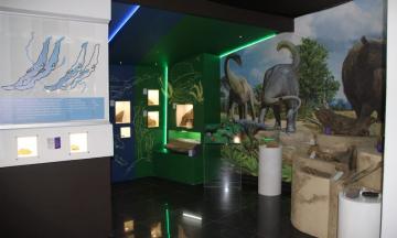 Интерактивные занятия на выставке «Таежная, озерная, степная…»