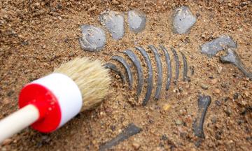 Музей природы Бурятии откроет «Музейный дворик»