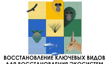 Сегодня 3 марта — Всемирный день дикой природы