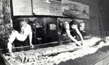 Из рубрики «40 лет Музею природы Бурятии». О становлении и развитии Музея природы Бурятии