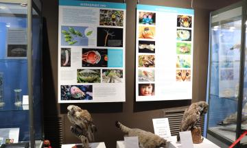 Приглашаем на выставку 