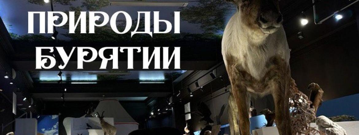 Таёжная, озёрная, степная...