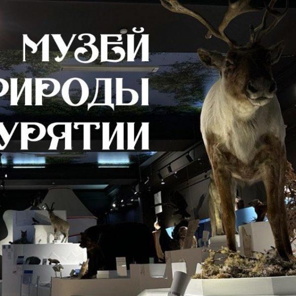 Таёжная, озёрная, степная...