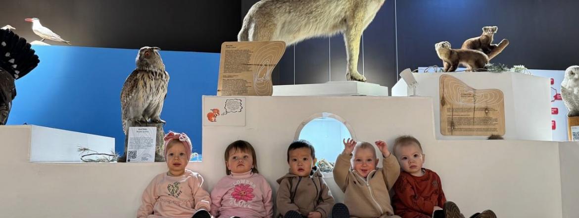 Музей природы – идеальный выбор для первого культурного выхода.