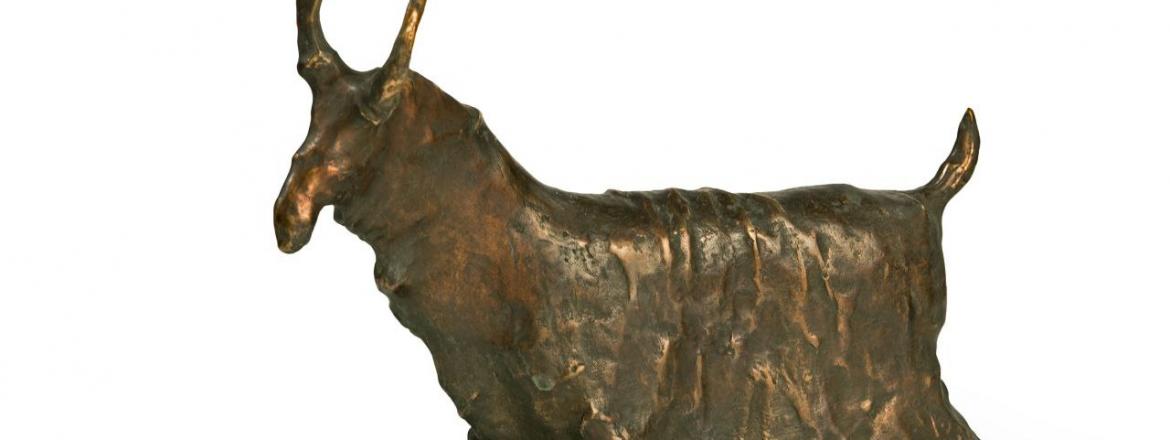 «Вахана» Зандана Дугарова