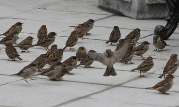 Выставка «Кто они, наши соседи?»