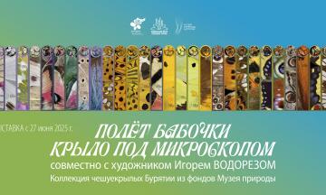 Выставка «Полёт бабочки. Крыло под микроскопом»