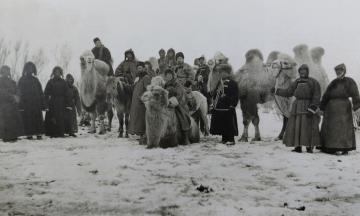 Забытое путешествие: фотографии Петра Шимкевича, XIX в. (0+)
