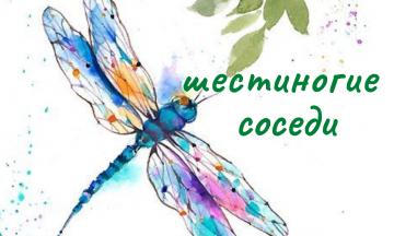 В Музее природы Бурятии открывается выставка «Шестиногие соседи»