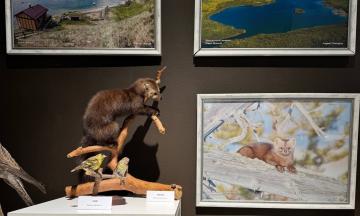 В Музее природы Бурятии открылась выставка «Удивительный мир Заповедного Подлеморья».