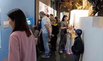 День открытых дверей в Национальном музее!